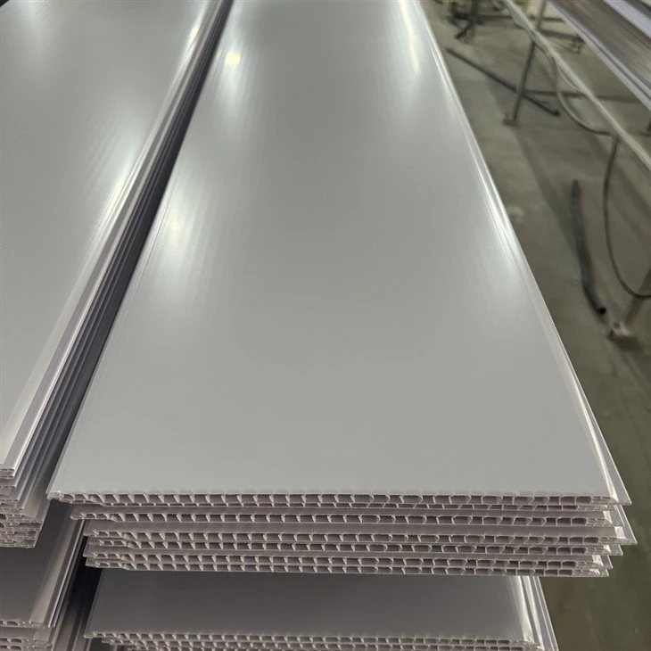 Laminas De Techo PVC